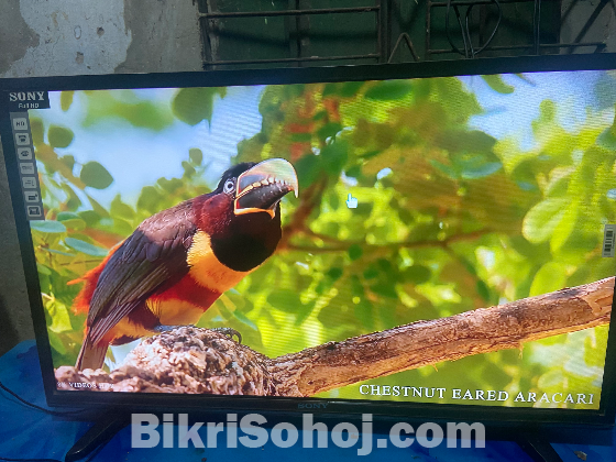 SONY TV